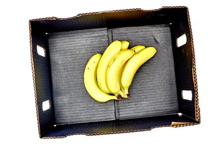 A studio photo of a fruit and vegetable boxの写真素材