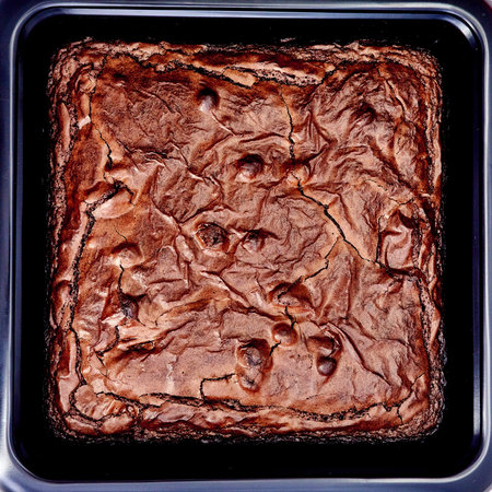 A studio photo of a chocolate fudge slice