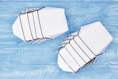 A studio photo of asian takaway cartons