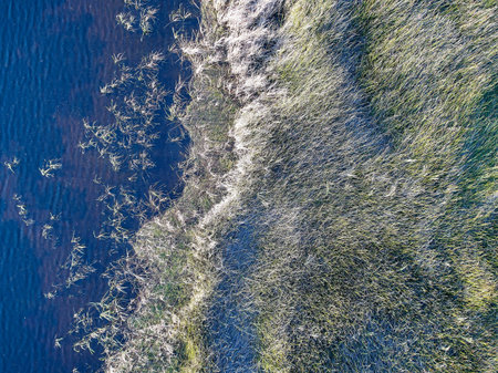 A aerial drone image of a lake