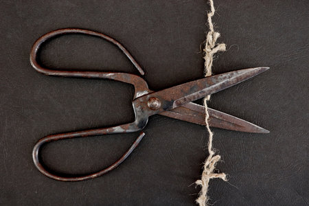 A studio photo of vintage scissors
