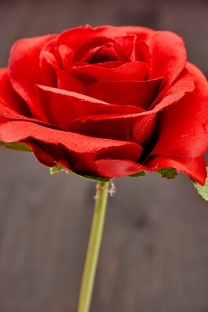 A studio photo of an artificial red roseの写真素材