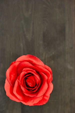 A studio photo of an artificial red roseの写真素材