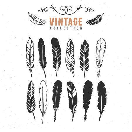 Vintage retro old nib pen feather ink collection.のイラスト素材