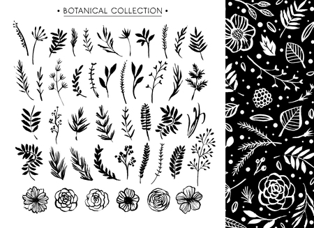 Botanical collection with floral pattern. Flowers, branches, and leaves. Hand drawn design elements. Nature vector illustration.のイラスト素材