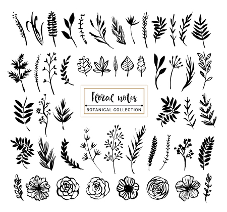 Floral notes botanical collection. Flowers, branches, and leaves. Hand drawn design elements. Nature vector illustration.のイラスト素材