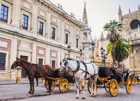 Street of Seville old town, Andalusia, Spainの写真素材