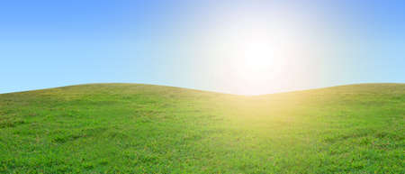 back side of thoughtful child girl on white background. Hold pen writing on blank  space text.の写真素材