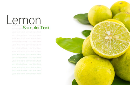 Kaffir leaves and lime on white backgroundの写真素材