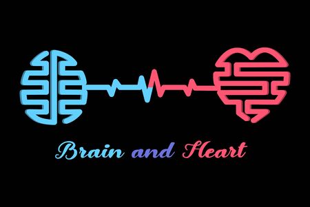 Heart and brain connected, Emotions and logic concept.のイラスト素材