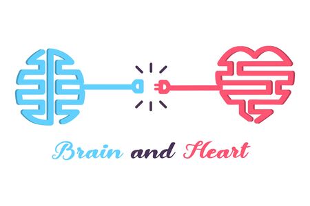 Heart and brain connected, Emotions and logic concept.のイラスト素材