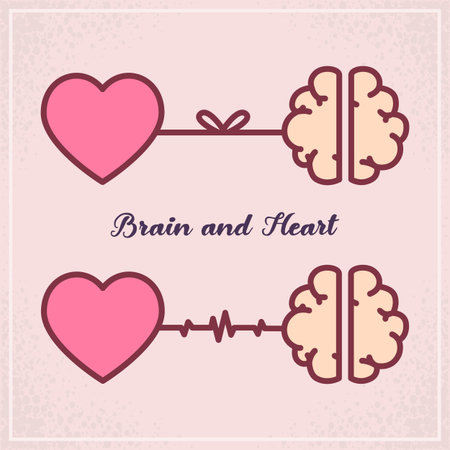 Heart and brain, Emotions and logic concept.のイラスト素材
