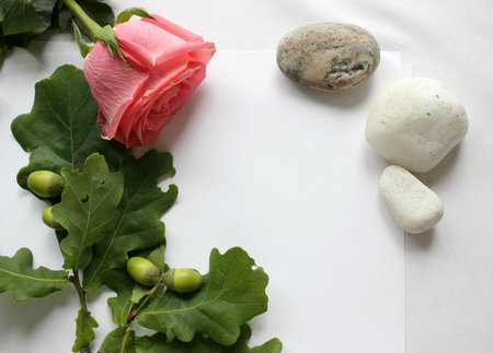 Congratulatory Frame against the Light Backgroundの写真素材