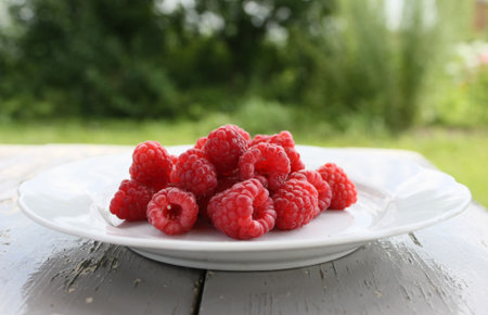 Raspberry on a Dish 