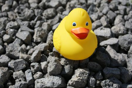 Rubber Duck at Dry Bottomの写真素材