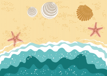 Sea Beach with Shells and Wavesのイラスト素材
