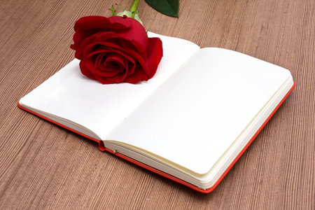 Open Notebook with Red Roseの写真素材