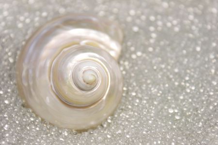 Perl seashell in glass ballsの写真素材