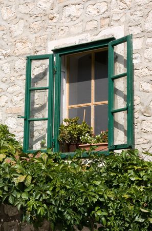 Overgrown window in country houseの写真素材