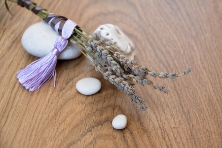 Dry lavender twigsの写真素材