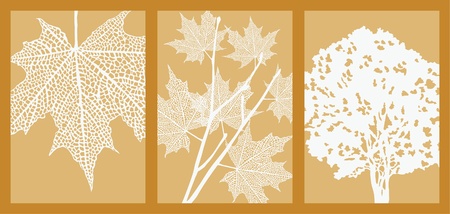 Silhouettes of maple leaf, branch and tree. Picture with Clipping Mask.のイラスト素材