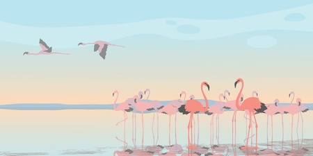 Group of pink flamingos on the bayのイラスト素材