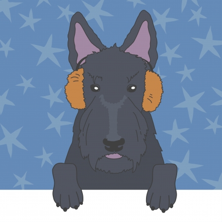 Illustration of scottish terrier in fur earmuffsのイラスト素材