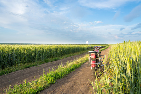 Summer landscape road, wheat field and clouds.の写真素材