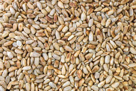 Roasted sunflower seedsの写真素材