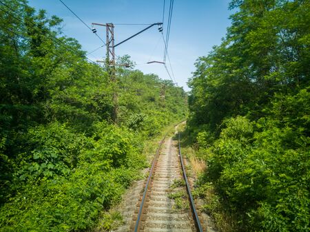 Railway in summer, the greenery disappearing into the distance in the Caucasusの写真素材