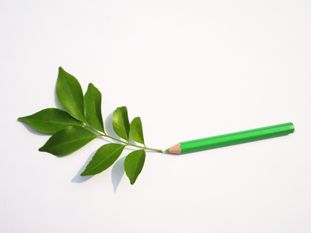 Leaf and green pencil colorの写真素材