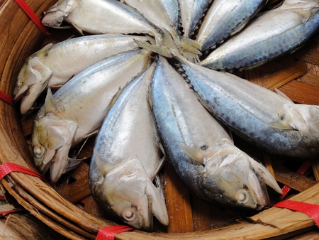 Mackerel or Thai tuna fishs encircle in a basket, Thailand market.    の写真素材