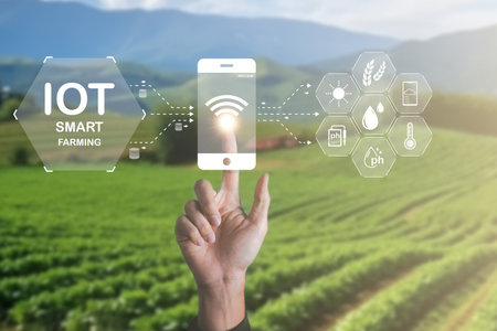 Smart Farming using IOT Internet Of Thinking technology and analysis with AI artificak intelligence help to improvement, research and development productivity of farming.の写真素材