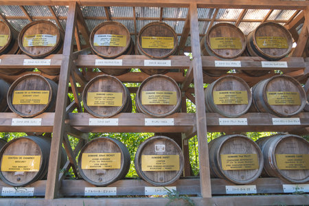 Tokyo, Japan - July 29. 2023: Sake barrels at Meiji Jingu Shrine, Shibuya, Tokyo, Japan.