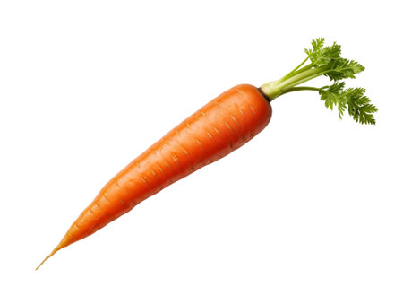 carrot isolated on transparent background.fruit and vegetable for food element. food and healthy concept.の素材