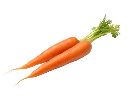 carrot isolated on transparent background.fruit and vegetable for food element. food and healthy concept.の素材