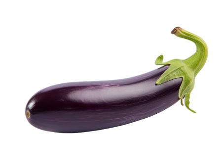 eggplant isolated on transparent background.fruit and vegetable for food element. food and healthy concept.の素材