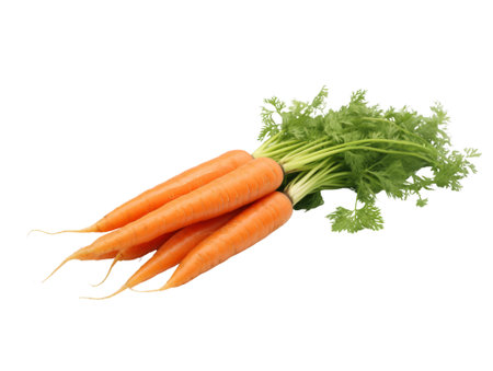 carrot isolated on transparent background.fruit and vegetable for food element. food and healthy concept.の素材