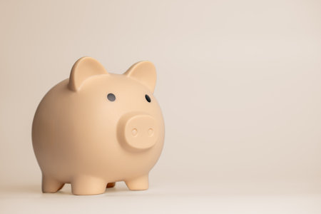 saving money wealth and financial investment concept.piggy bank isolate on backgroundの写真素材