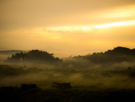 Fogの写真素材