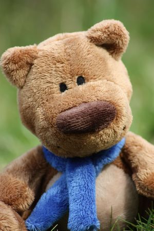 Teddy Bearの写真素材