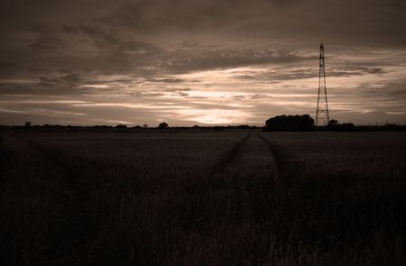 darkend and filter shot of a sunset over corn fields with electrical mastの写真素材