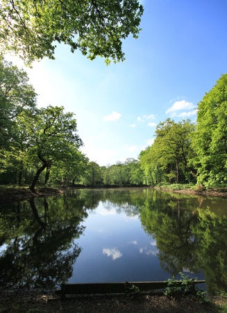 An image of a perfect country scene for little holidays by the lakeの写真素材