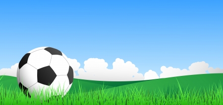 Illustration of a Soccer ball on some grassのイラスト素材