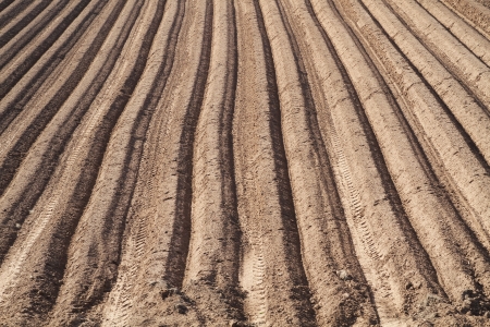 an image of a ploughed field in straight lines in the spring time ready for crop sewing の写真素材