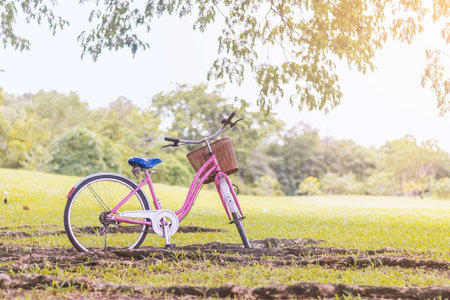 An old bicycle in meadow during sunsetの写真素材