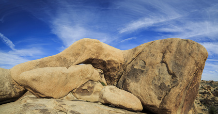 Landscape in Joshua Tree National Park, morningの写真素材