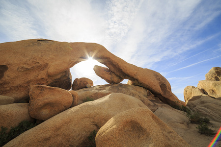 Landscape in Joshua Tree National Park, morningの写真素材