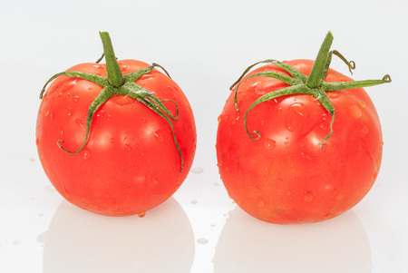 Tomato on whiteの写真素材