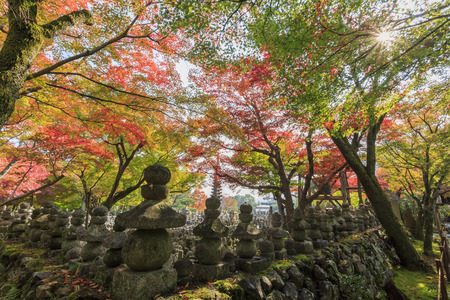 Superb view, fall color at Adashino Nenbutsu-ji, Japan in the autumn around novemberのeditorial素材